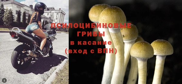 ALPHA-PVP Карпинск