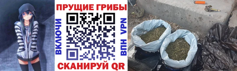 Галлюциногенные грибы прущие грибы  Купить закладки  Канск 